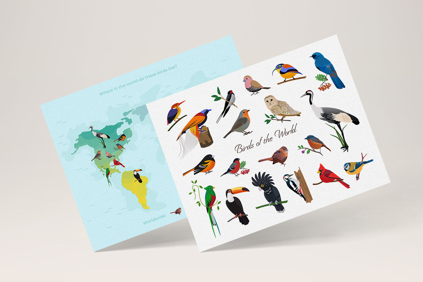 Birds of the World | Wildlife Education